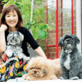 浅田美代子の娘の噂の真相と結婚や再婚相手の最新情報