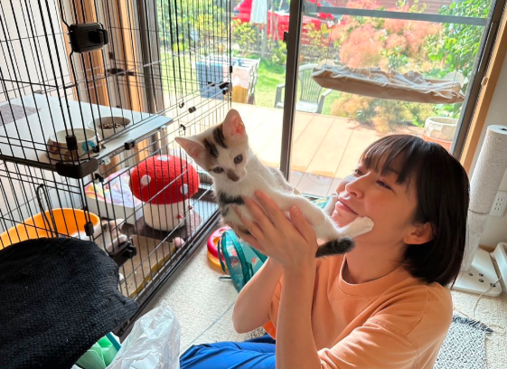 小野真弓の結婚は本当か？独身の噂の真相と木更津での暮らしまとめ