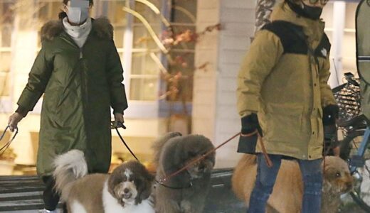 稲葉浩志の妻と松崎しげるの関係や元旦那説の真相を詳しく紹介