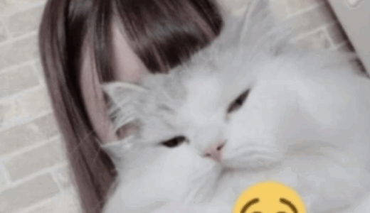 我部りえるの中の人は誰？徹底解説と炎上収益化の経緯